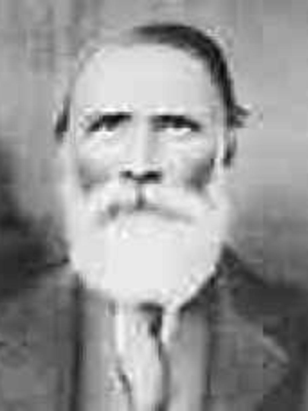 Joseph Edward Wheeler (1828 - 1890) Profile